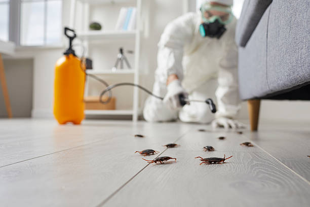 Post-Treatment Bed Bug Interceptor Monitoring in Summerset