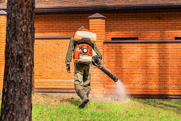 Bed Bug Clearance Verification and Documentation in Summerset